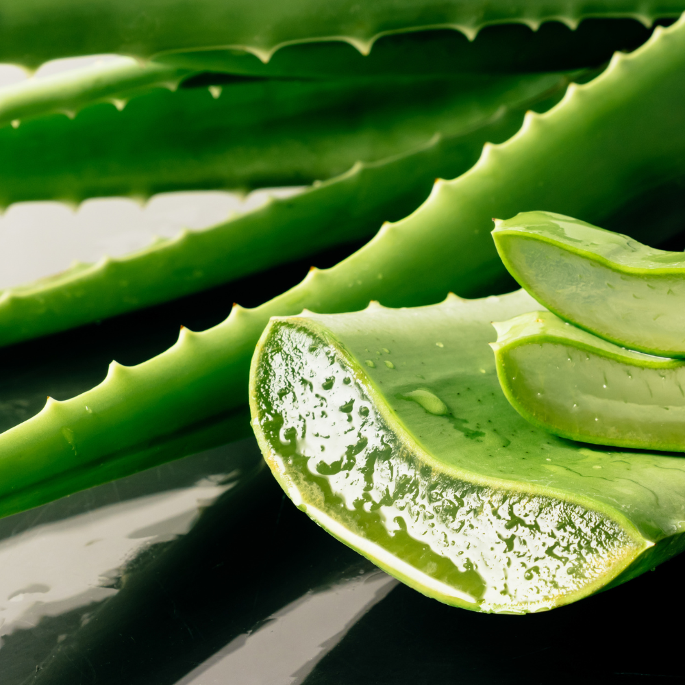 aloe vera lr concentrate Aloe Vera Inner Leaf Gel & Juice main image 0