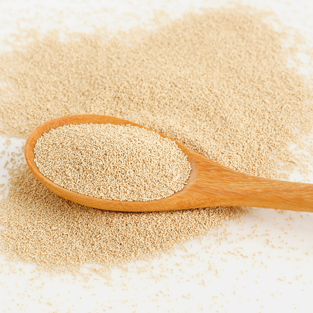 Bierhefe für Pferde: Warum dieses natürliche Multitalent in Deiner Fütterung nicht fehlen sollte