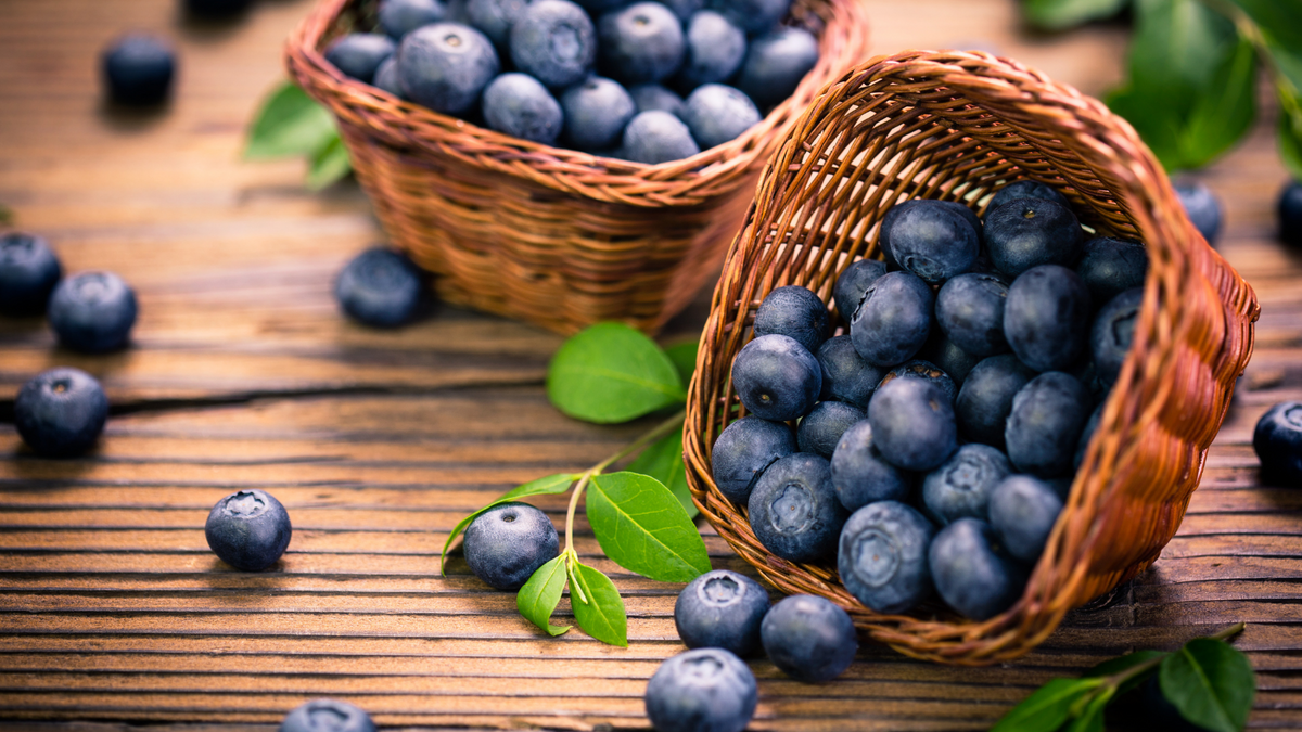 Dürfen Hunde Blaubeeren essen?