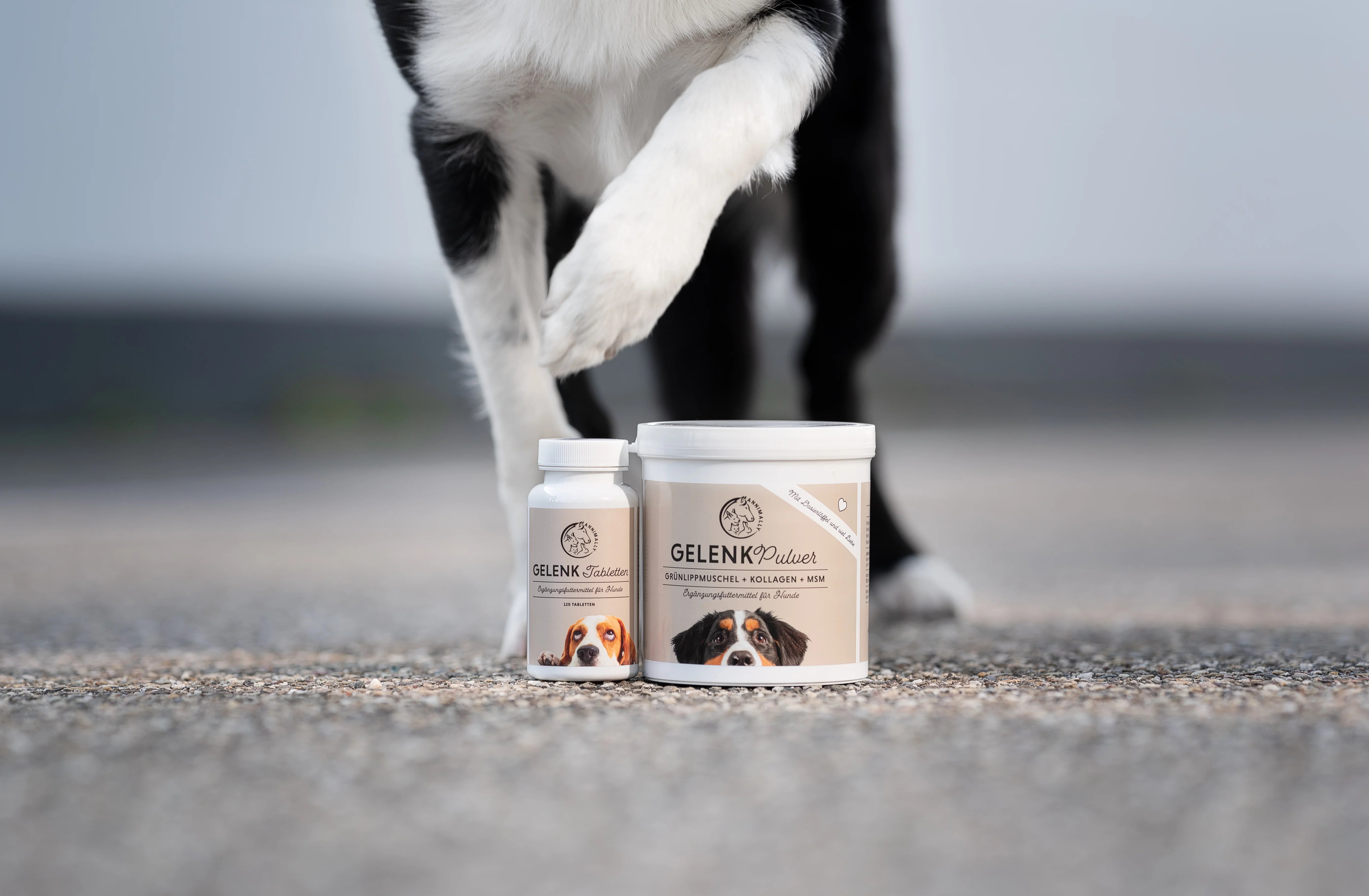 Futtermittelzusatz für Gelenke & Muskeln Hund