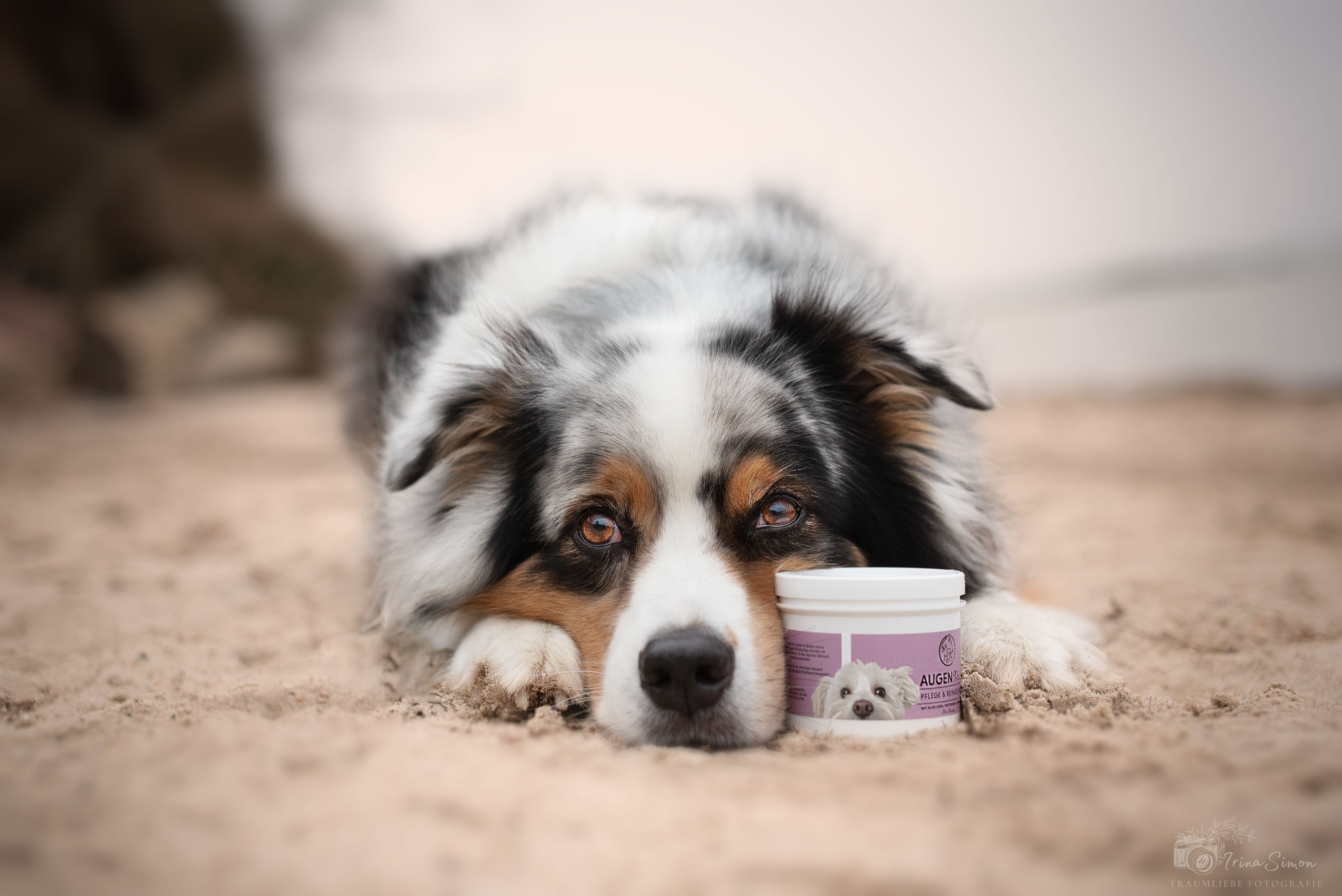 Augen- & Ohrenpflege für Hunde