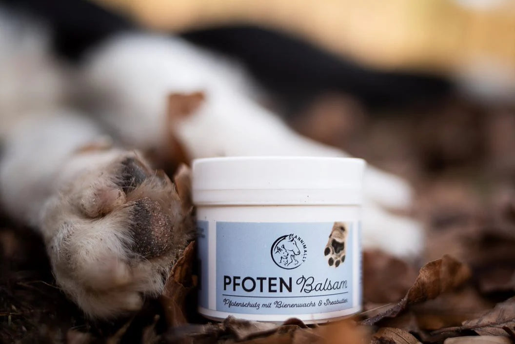 Saisonale Futterzusätze für Hunde