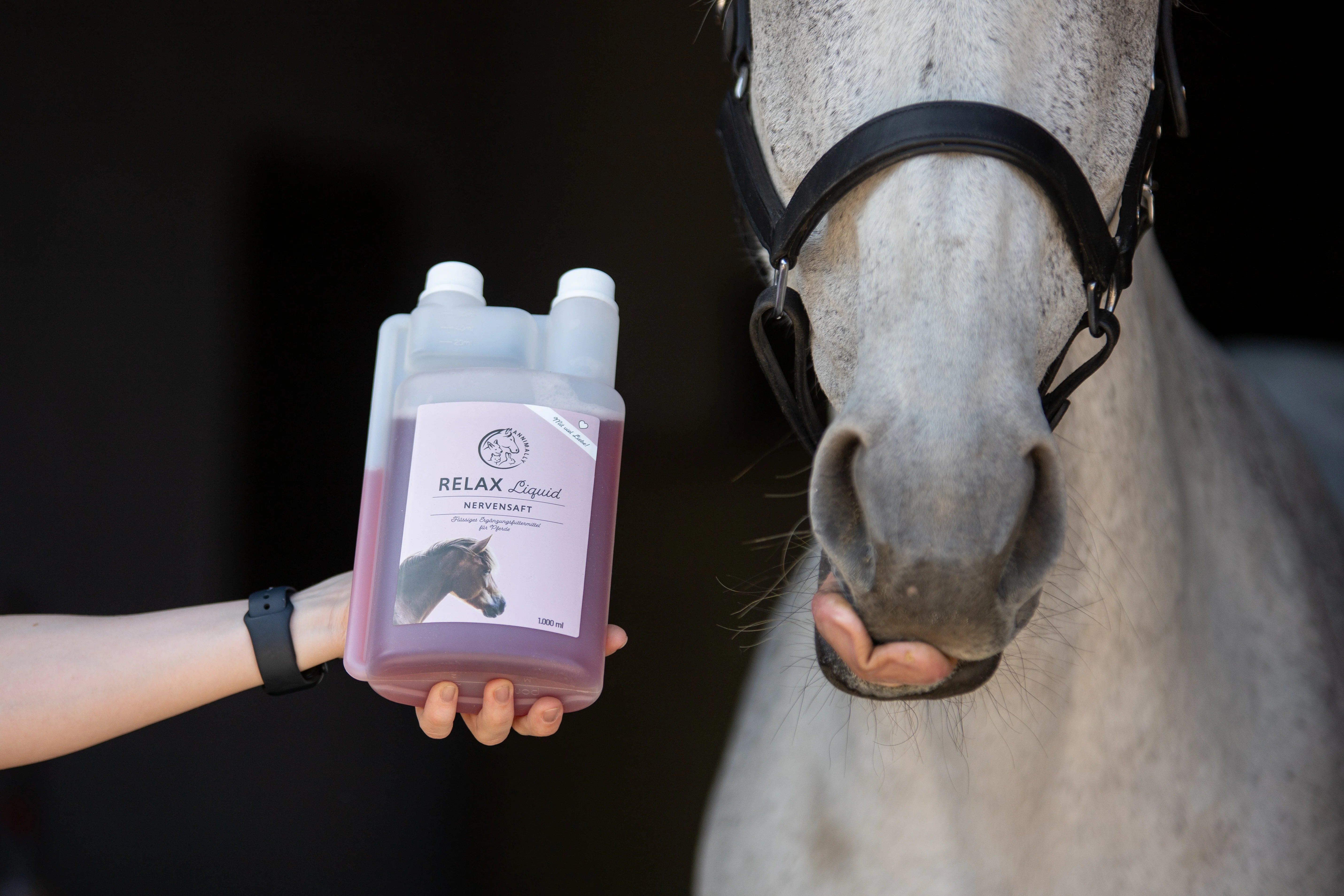 Saisonales für Pferde