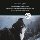 Spray sans rinçage Sensitive Plus