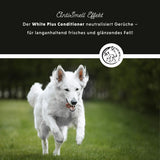 Après-shampoing White Plus