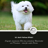 Spray sans rinçage White Plus