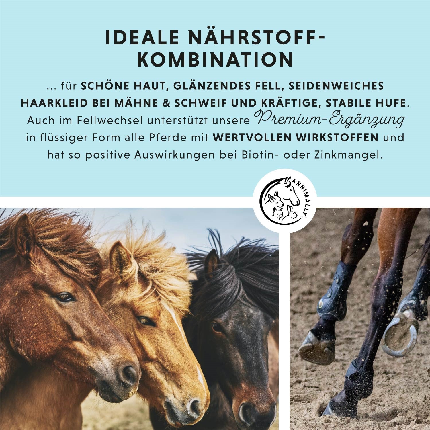 Fellwechsel-Box