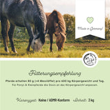 Aliment minéral pour le sport et la performance