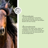 Aliment minéral pour le sport et la performance