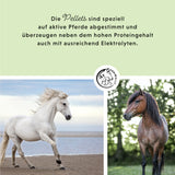 Aliment minéral pour le sport et la performance