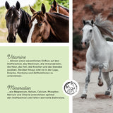 Aliment minéral pour le sport et la performance