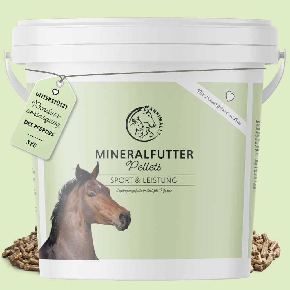 Fabelhafte Mineralfutter Pferd Testsieger Bild