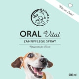 Spray Oral Vital