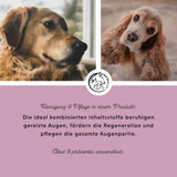 Augenpflege Plus mit Euphrasia & Rosenwasser