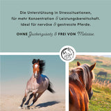 Granulés de magnésium