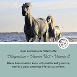 Granulés de magnésium