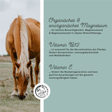 Granulés de magnésium