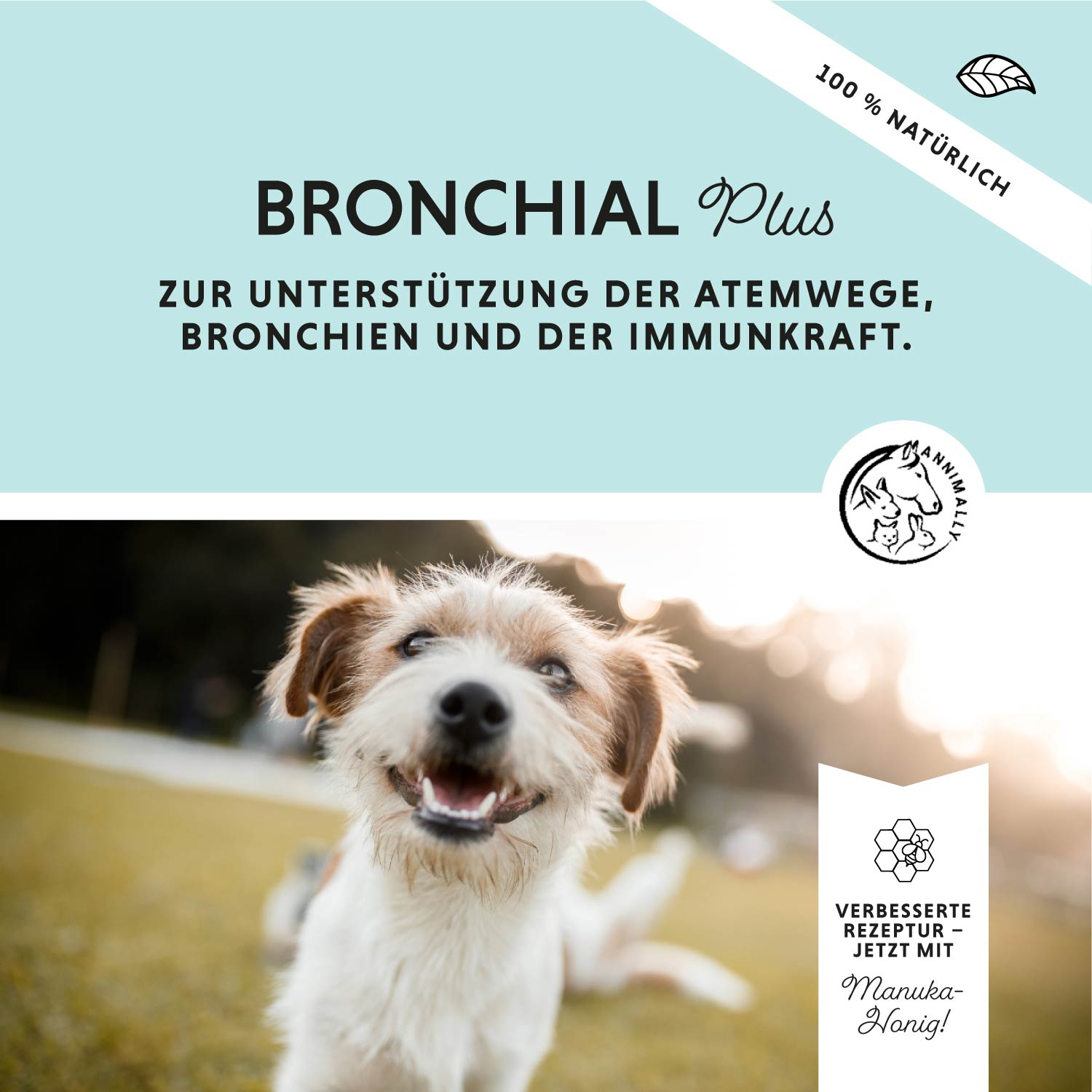 Bronchique Plus