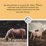 Aliment minéral Senior Vital