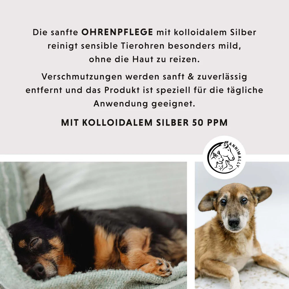 Ohrenpflege mit kolloidalem Silber 50 ppm