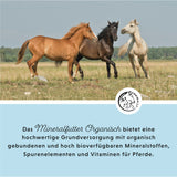 Aliments minéraux organiques