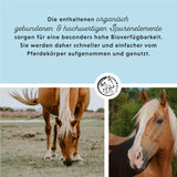 Aliments minéraux organiques