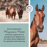 Granulés de magnésium