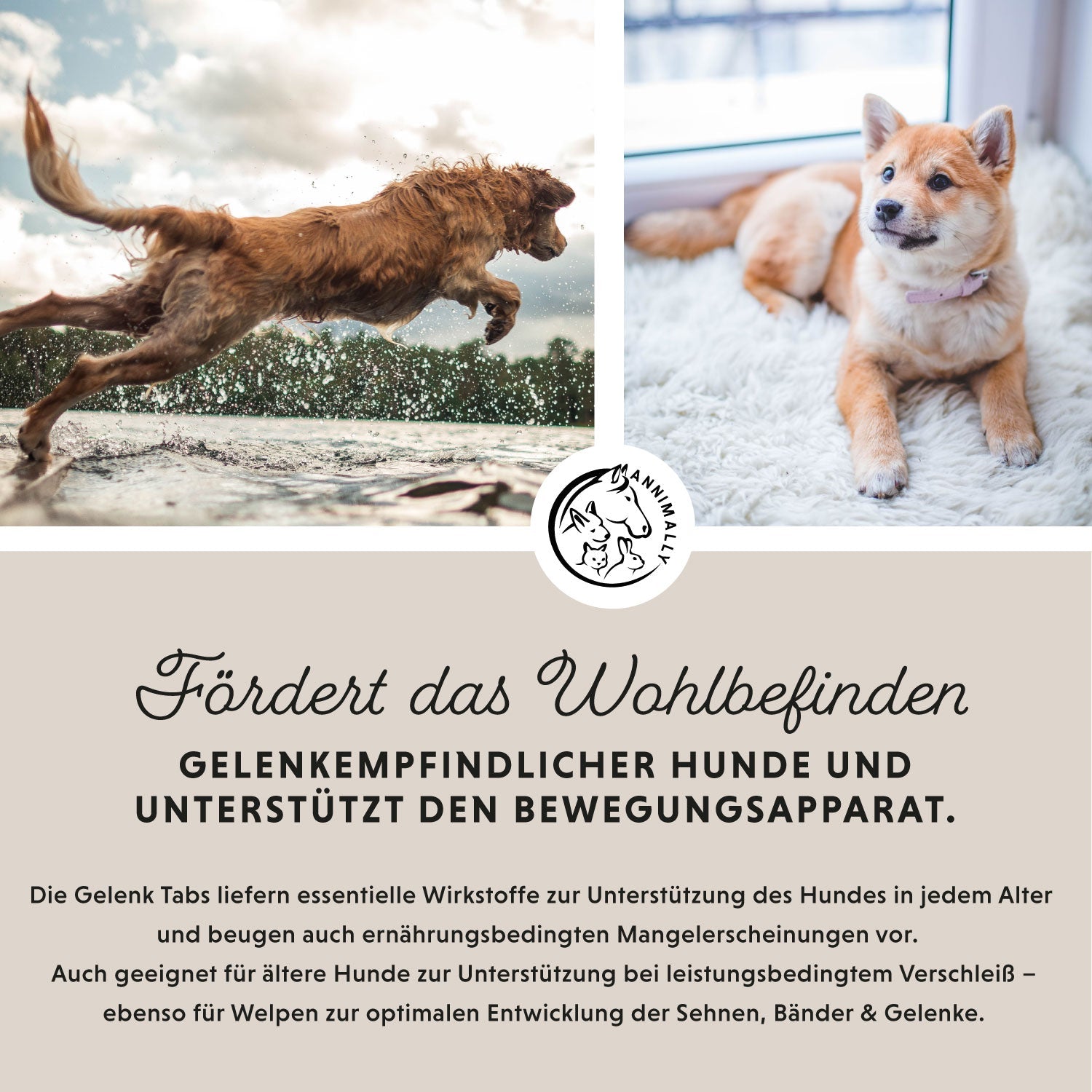 Coffret best-seller