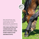 Beurre de Bouche Plus