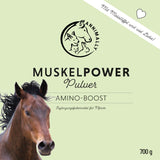Muskelpower Pulver