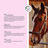 Beurre de Bouche Plus