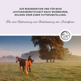 Poudre vitale du côlon