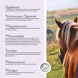 Poudre vitale du côlon