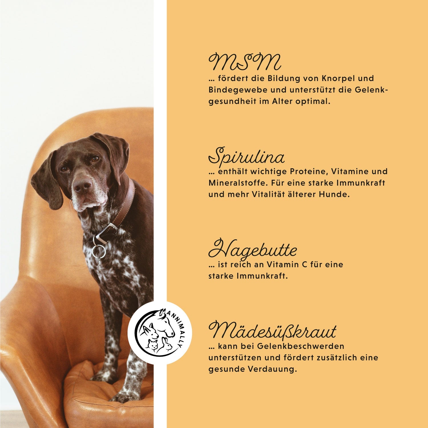 Senior Vital Tabletten