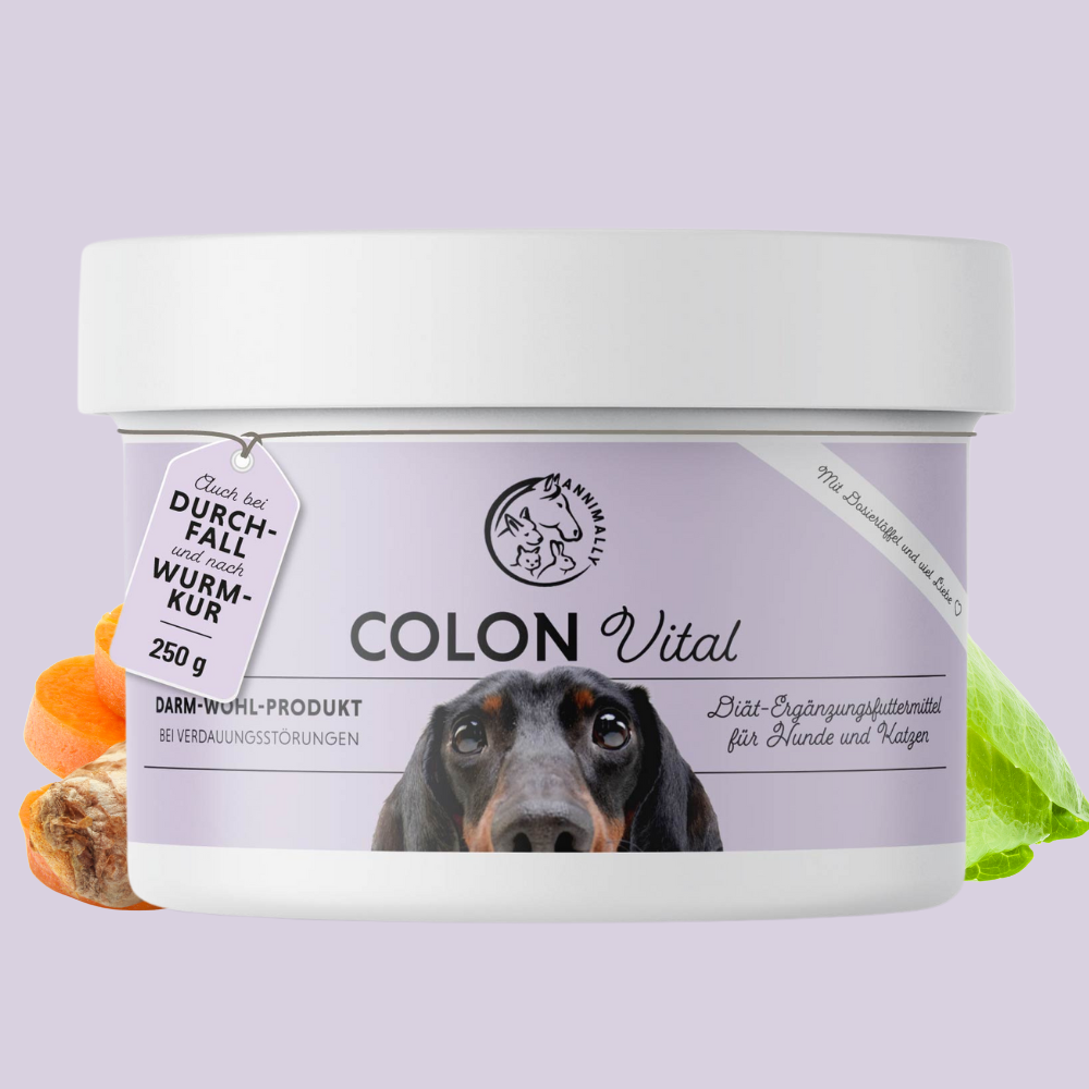 hundefutter bei darmproblemen Colon Vital