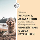 Lachsöl, reich an Vitamin E und Omega Fettsäuren