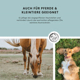 Professionnel des soins de la peau