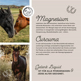 Liquide pour articulations