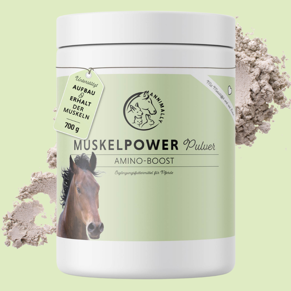 Poudre de puissance musculaire