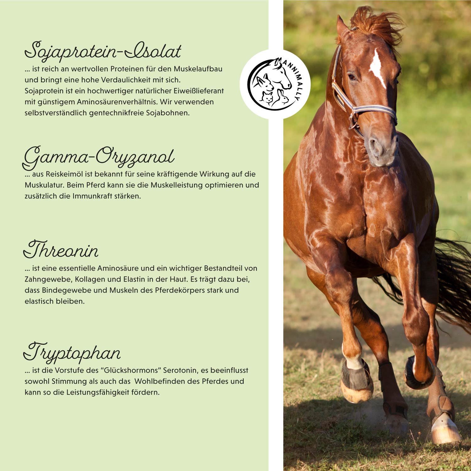 Poudre de puissance musculaire