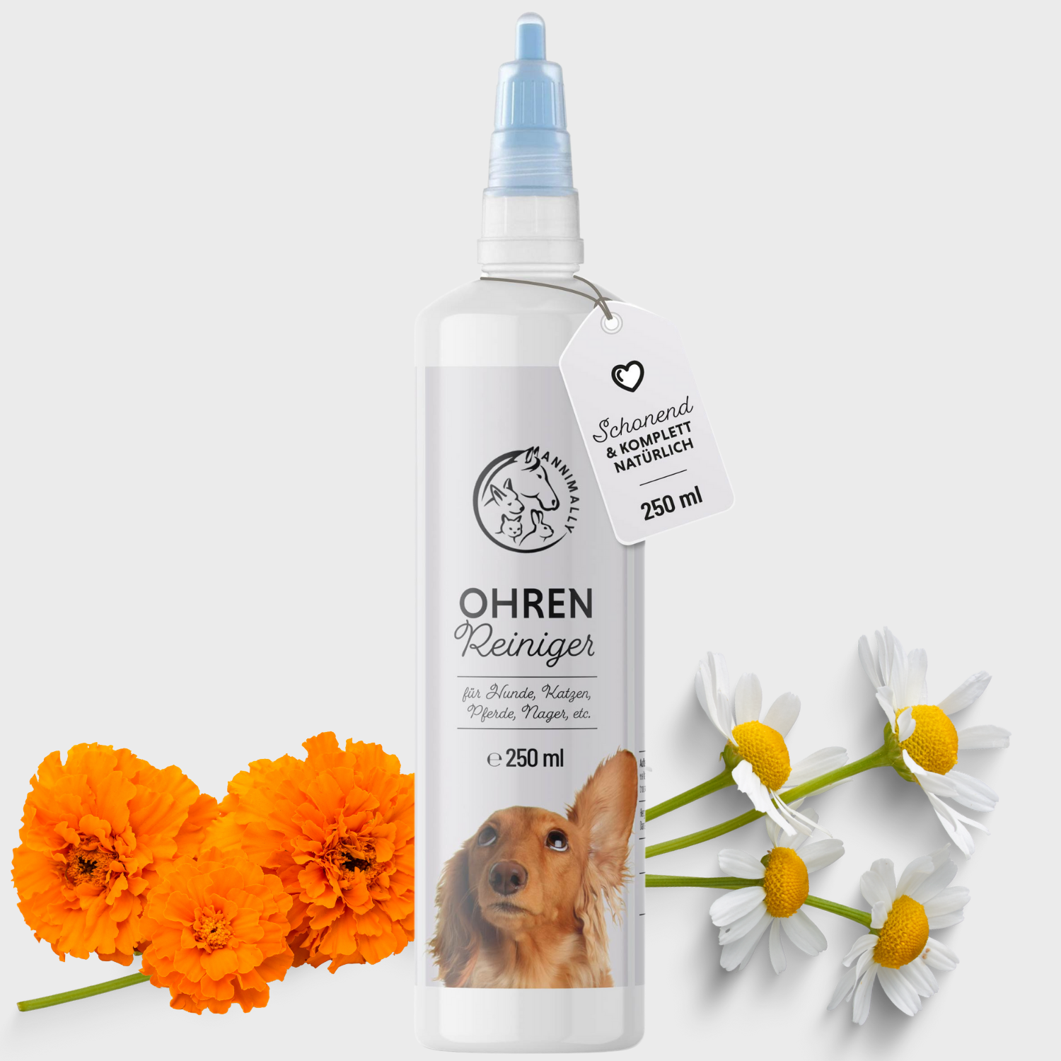 PetPumpkin Ohrreiniger Für Hunde & Katzen – 100x 2-in-1 Feuchttücher Mit Aloe Vera & Hamamelis
