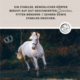 Liquide pour articulations