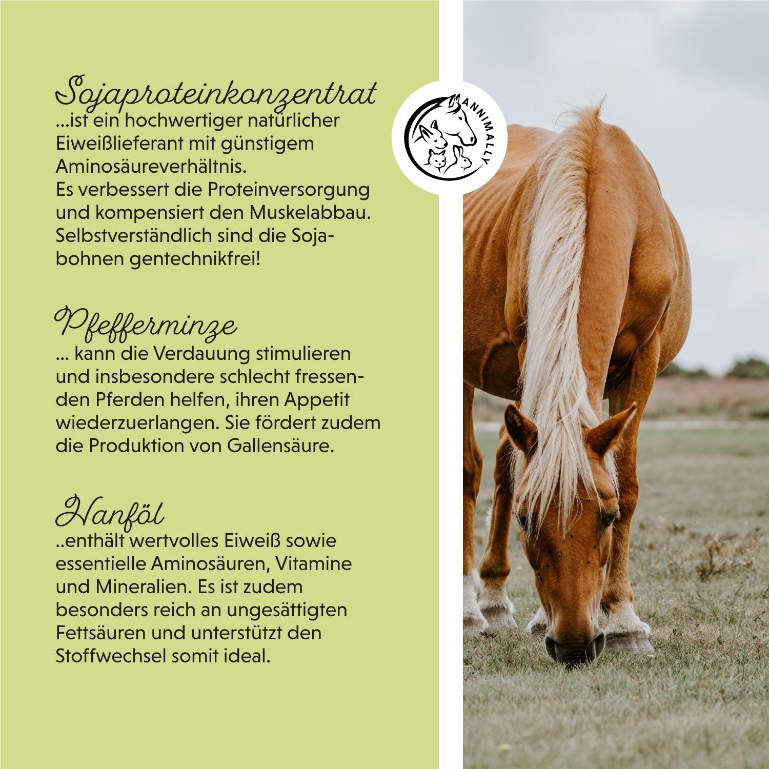 Weight Gainer Konzentrat