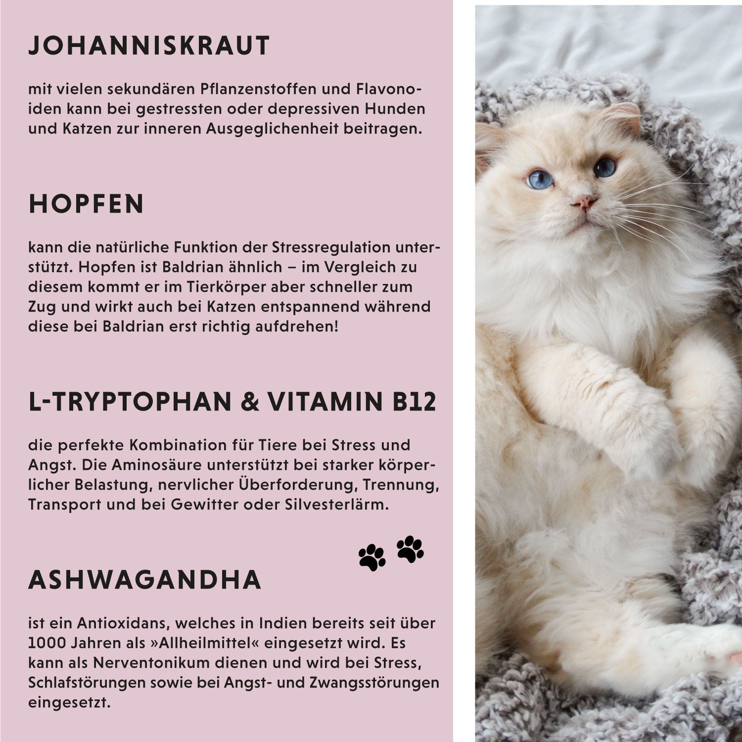 Wirkstoffe der Rescue Tropfen für Katzen und Hunde