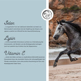 Vitamine E / Sélénium & Lysine