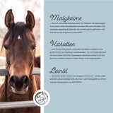 Vitamine E / Sélénium & Lysine