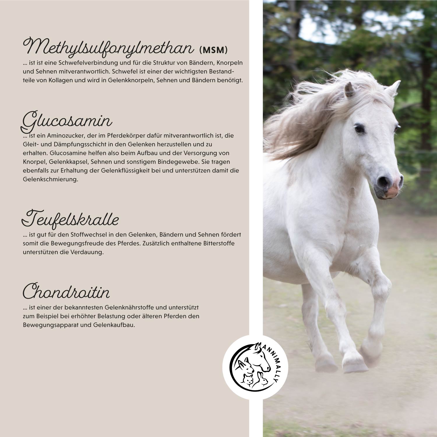 Bewegungsfreude