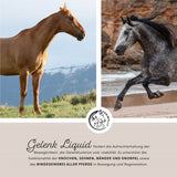 Liquide pour articulations