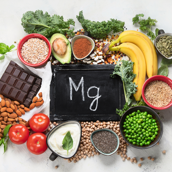 Magnesium für Hunde: Warum es so wichtig für Muskeln, Nerven und Energie ist