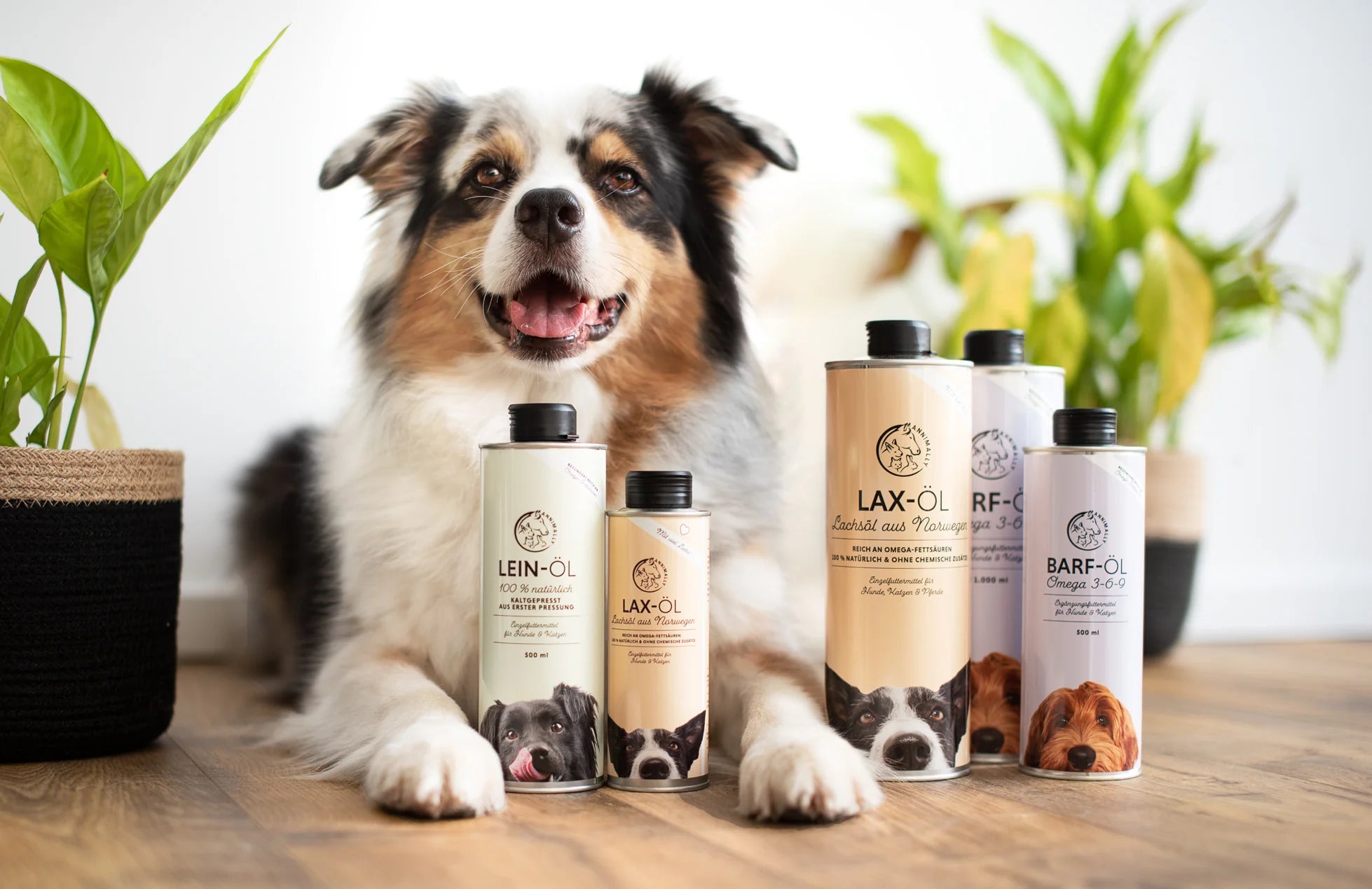 Fell- & Hautpflege für Hunde